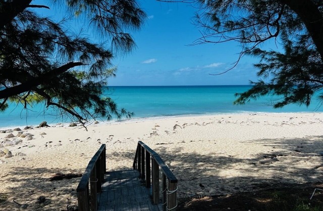 Bimini World Resorts TIPSY TURTLE With Boatslip and Polaris UTV