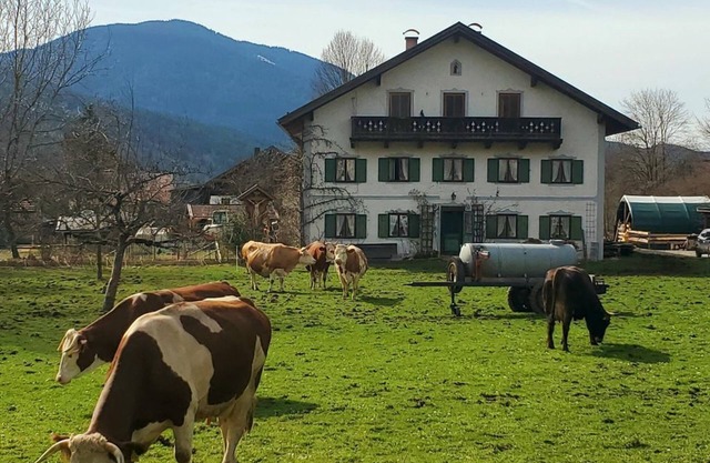 Biohof Dimper - Ferienwohnung 2