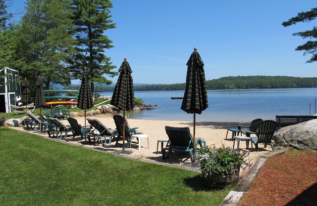 Die Birken in Gilmore Camps On Kezar Lake