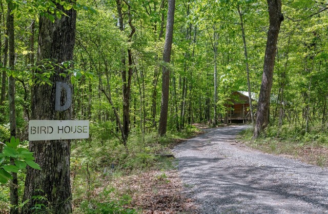 Bird House-woodsy getaway w/hot tub & fire pit