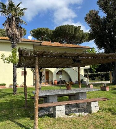 Bivio di punta ala