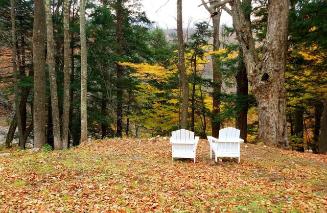Black Bear Lodge