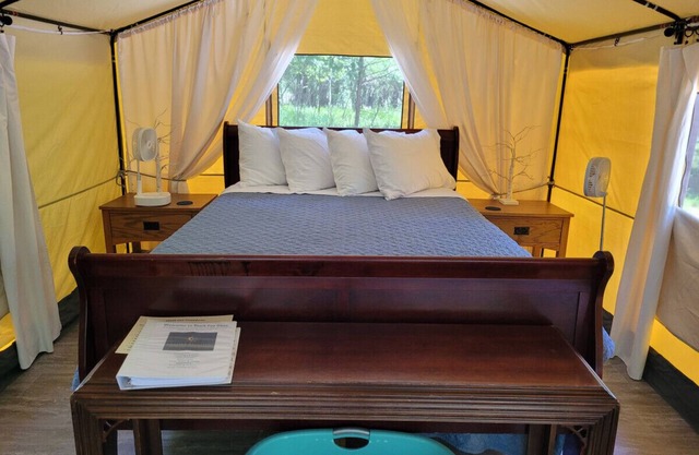 Black Fox Den: A Woodland Glamp - Dog Friendly