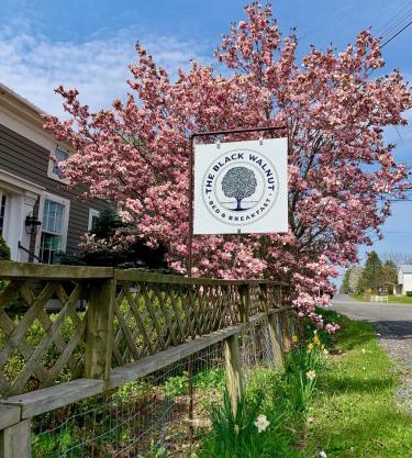 Black Walnut Bed and Breakfast