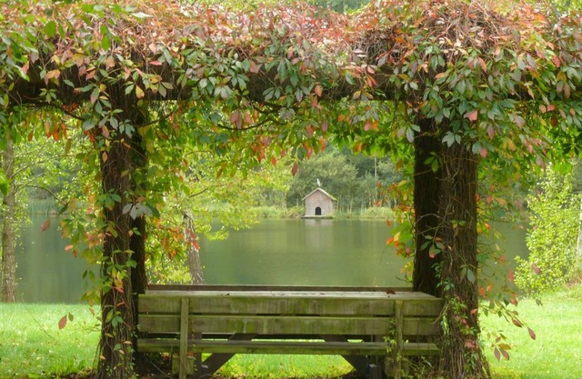 Blick zum Maimont