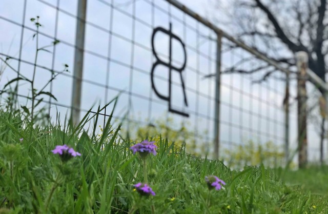 BLR Ranch - Ruhe und Abenteuer erwartet Sie in der Nähe von DFW, nur wenige Minuten vom PK Lake entfernt