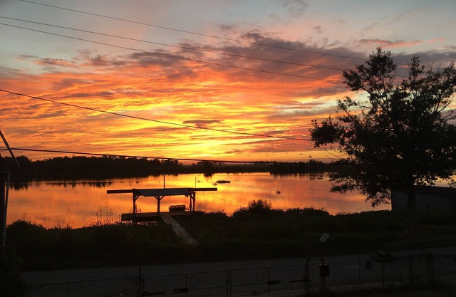 "Blue Bayou" Private retreat just minutes from New Orleans