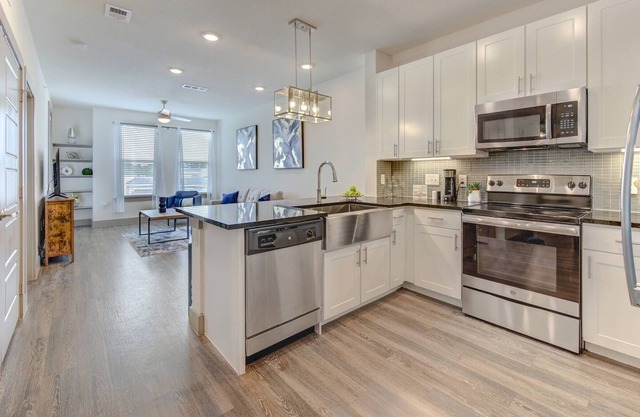 Blue Escape Luxury Apt. Woodlands/Conroe
