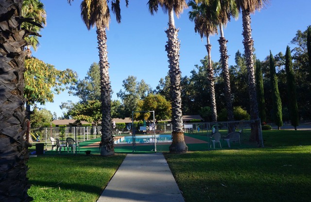 Blue Gum Motel