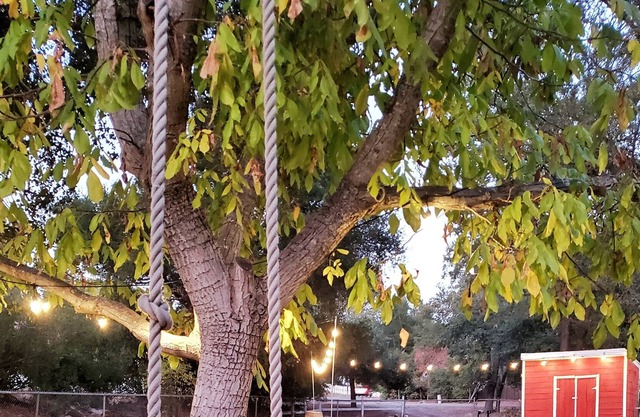 Blue Oak Ranch - Wine Country Retreat w/ Disc Golf