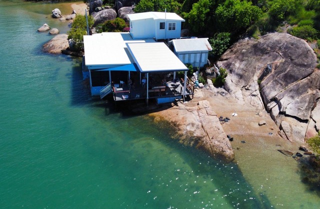 Blau auf Herzmuschel - Picnic Bay, QLD
