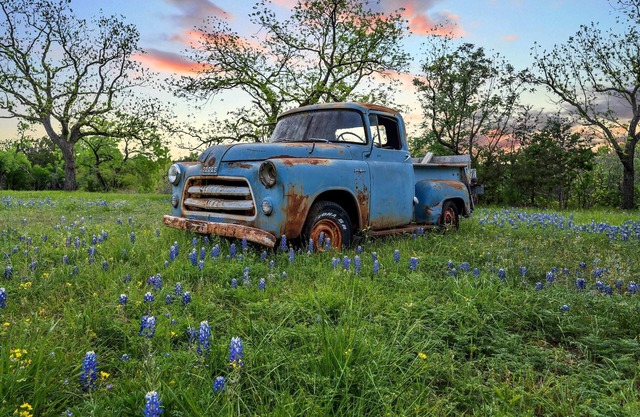 Blue Truck Ranch-6 Acres 3 Cottages FIRE PIT!