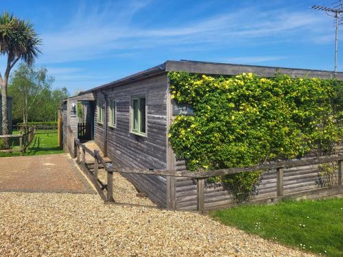Bluebell Lodge