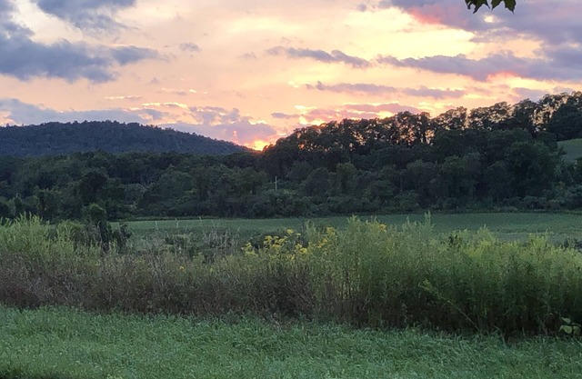 Bluebird Valley Farmhouse