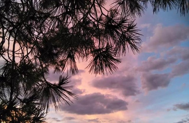 Bluebush Shed @ Cradock