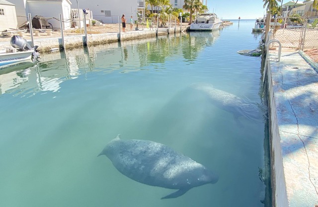 Boater's Delight 10 Miles from Key West!