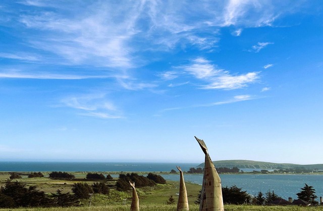 Bodega Ocean View - Beautiful, private hilltop location with expansive views.