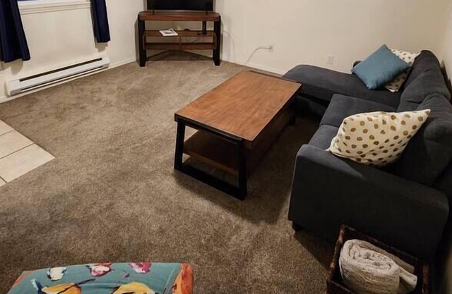 Boise Apt Convenient and Cute!