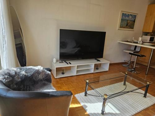 Bonito apartamento 3