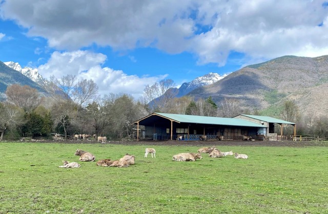 Bonito Duplex en Biescas ,entorno Rural a 20min Estacion Sky. Apta Mascotas