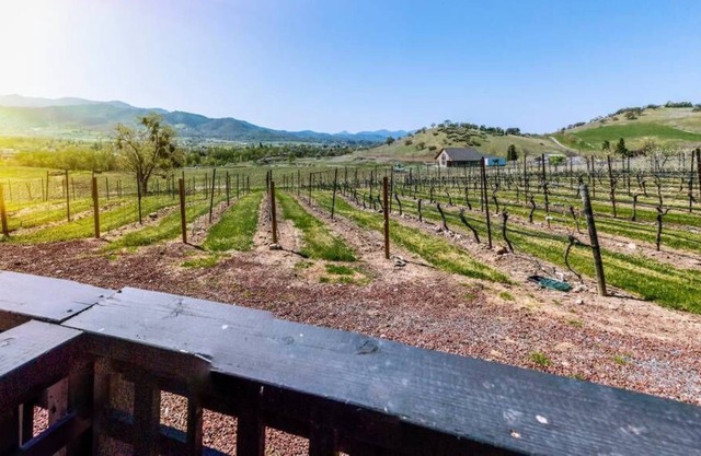 Traumhaus im Weingut Paschal