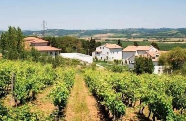 Borgo Alle > SEL-IND-2BD-SL6