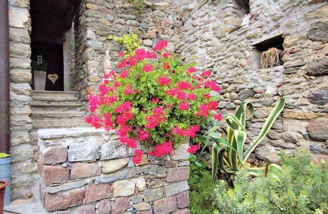 BORGO VIII Apartment