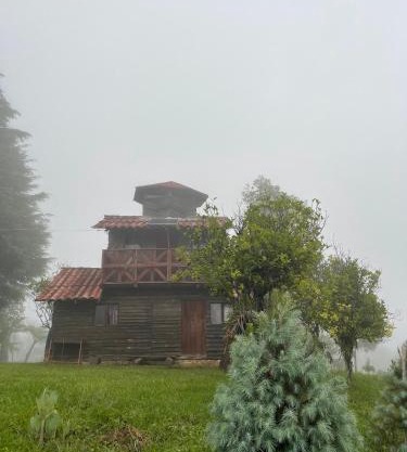 Bosque de Niebla