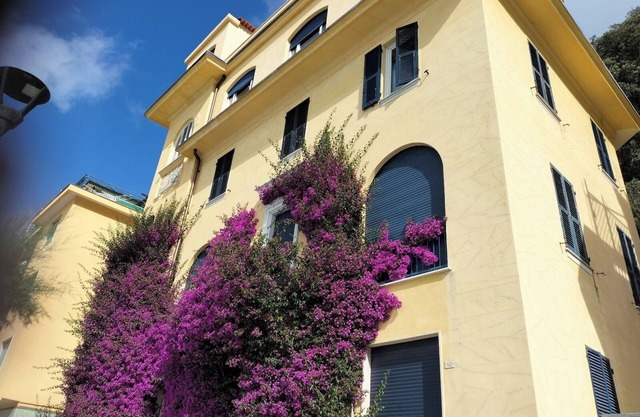 Bouganville House in the center - amazing sea view