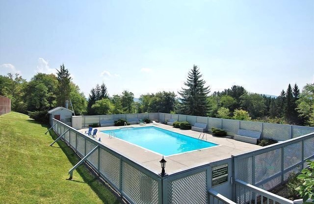BR248-Pool! Close to all ski areas and Canaan Valley Attractions!