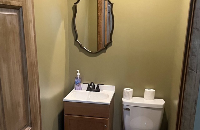 Brand New Cabin on Greenbrier/New Room