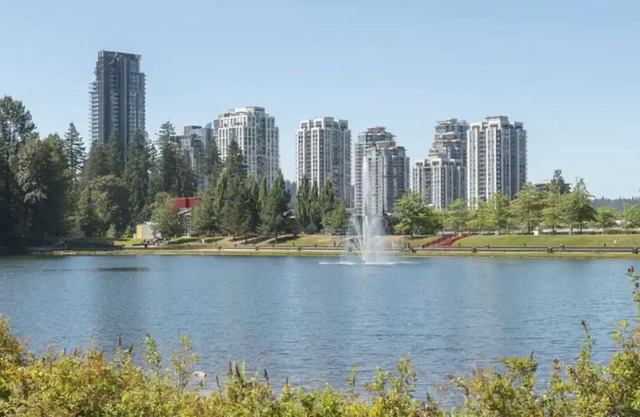 Brand New Fully Furnished One Bedroom Suite