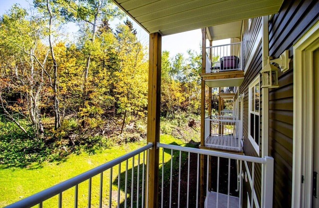 Brand new Gorgeous Condo Near UNB & Hospital Coffee Parking 202