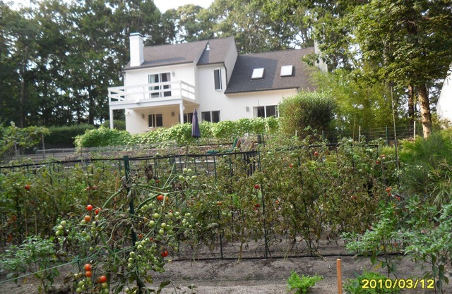 Brandneue Küche, Whirlpool, Bio-Garten, wenige Minuten zum Dorf