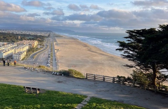 Breath-taking nature--in the city of San Francisco!