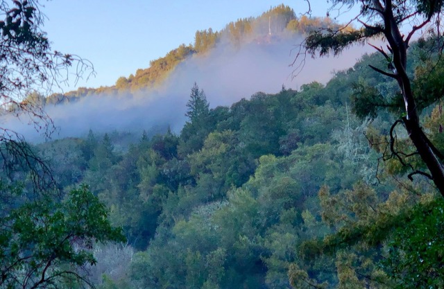 Breathtaking Napa Valley 30-day rental!