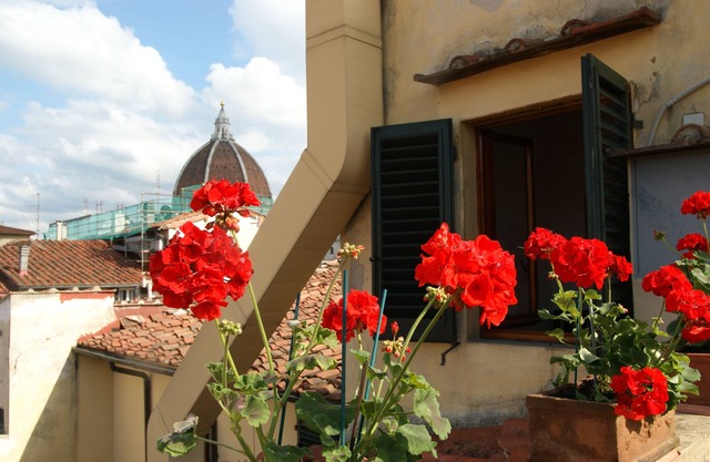 Herrliche Aussicht über die Dächer von Florenz