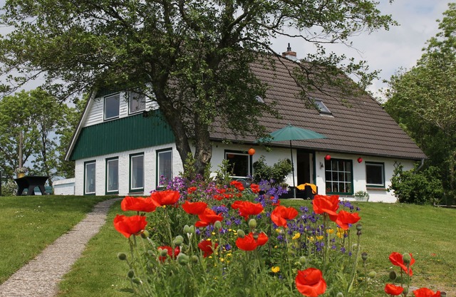 helle Ferienwohnung in Alleinlage mit Blick in die Natur