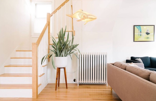Bright, Clean House in Downtown Historic Neighborhood