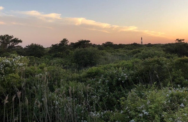 Heller, gemütlicher Bungalow mit Blick auf den Leuchtturm, zwei Minuten vom Strand entfernt