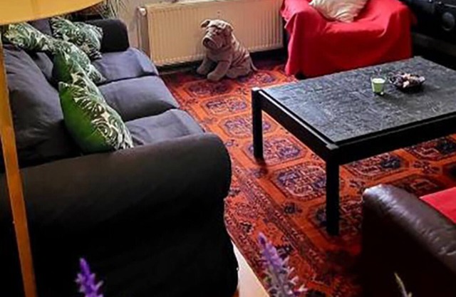 Professionelles Studio in der Nähe von Nato