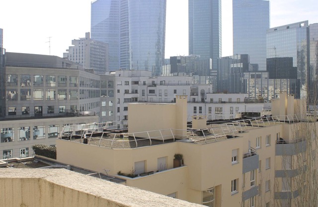 Bright through nest with view on La Défense
