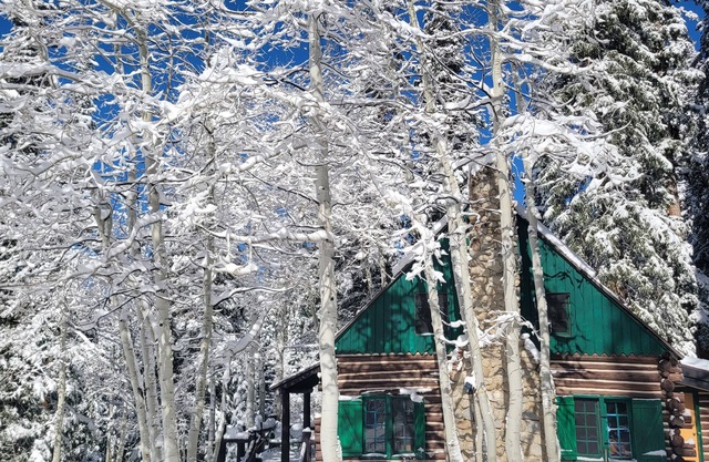 Brighton Log Cabin. Close to lifts! Free parking.