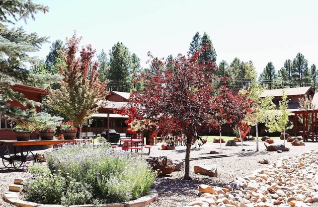 Budget-Friendly Mountain Getaway in Pinehill, AZ