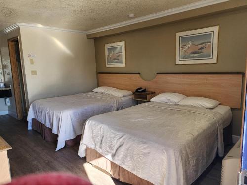 Budget Inn