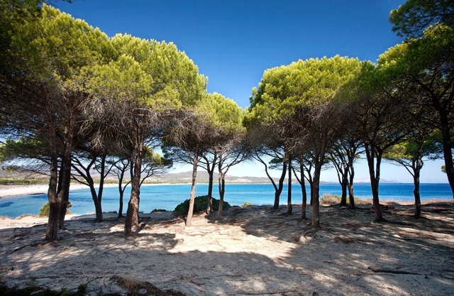 Budoni Sea view rentals trilo with pool