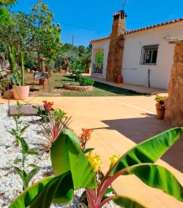 Buganvilla