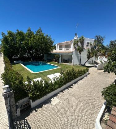 Buganvilla