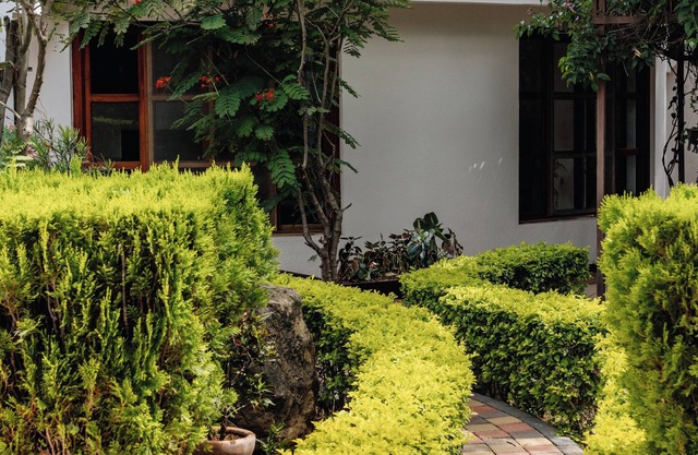 Bule Billas 2 Bedroom-2 Bath Beautiful "Dylan's Corner"