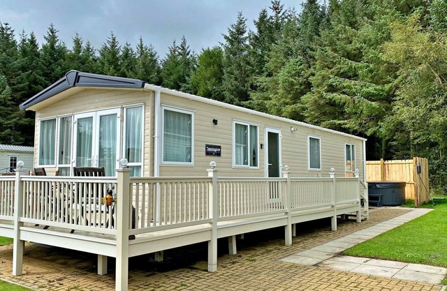 Bumblebee, Northumberland